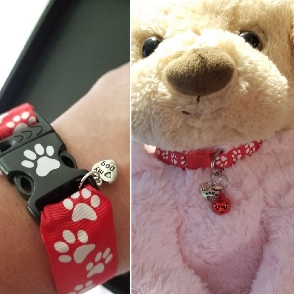 Matching Doggy & Me Charm Collar & Bracelet